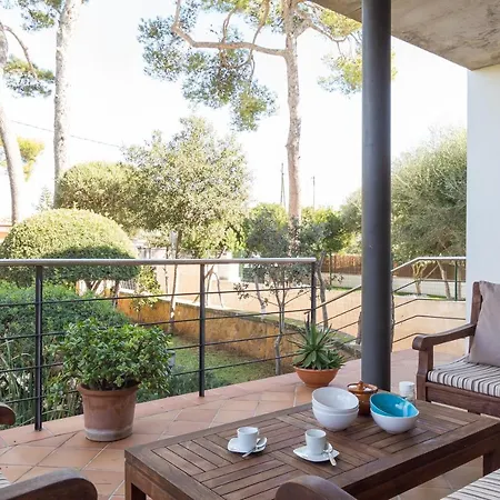 Baulo Pleta Can Picafort (Mallorca)