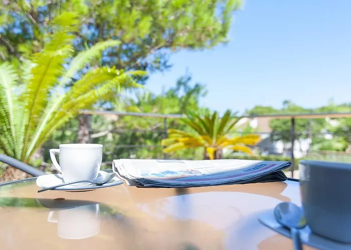 Baulo Pleta Can Picafort (Mallorca)